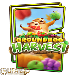 ufabet168 Groundhog Harvest