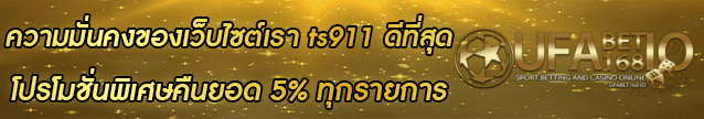 ts911 Banner 03